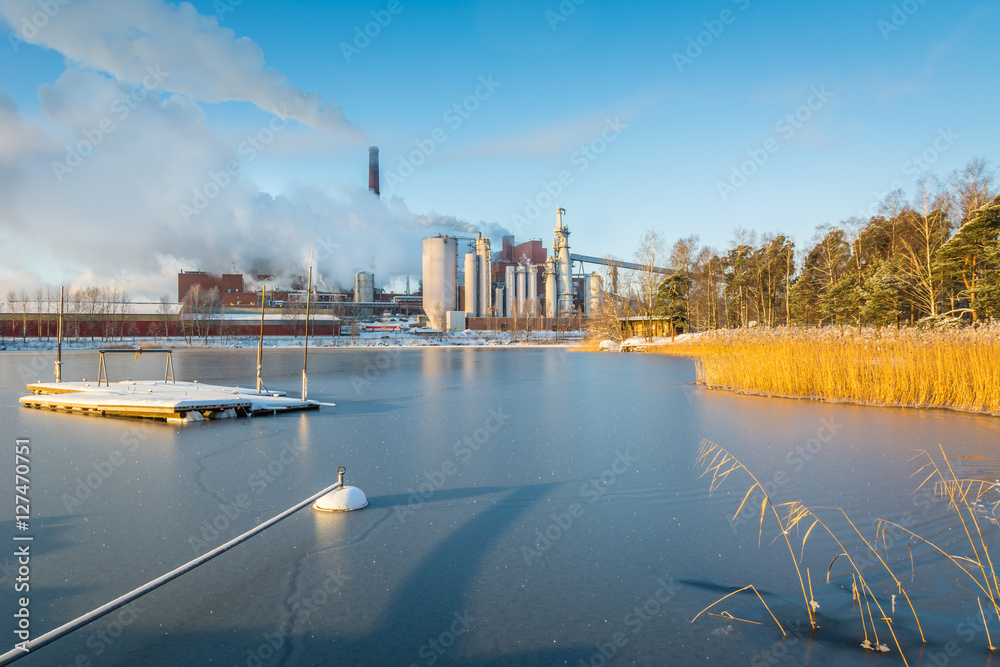 Fototapeta premium Pulp mill