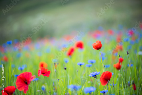 Castelluccio di Norcia