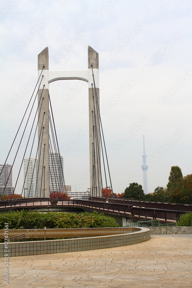 Fototapeta premium Kiba Park