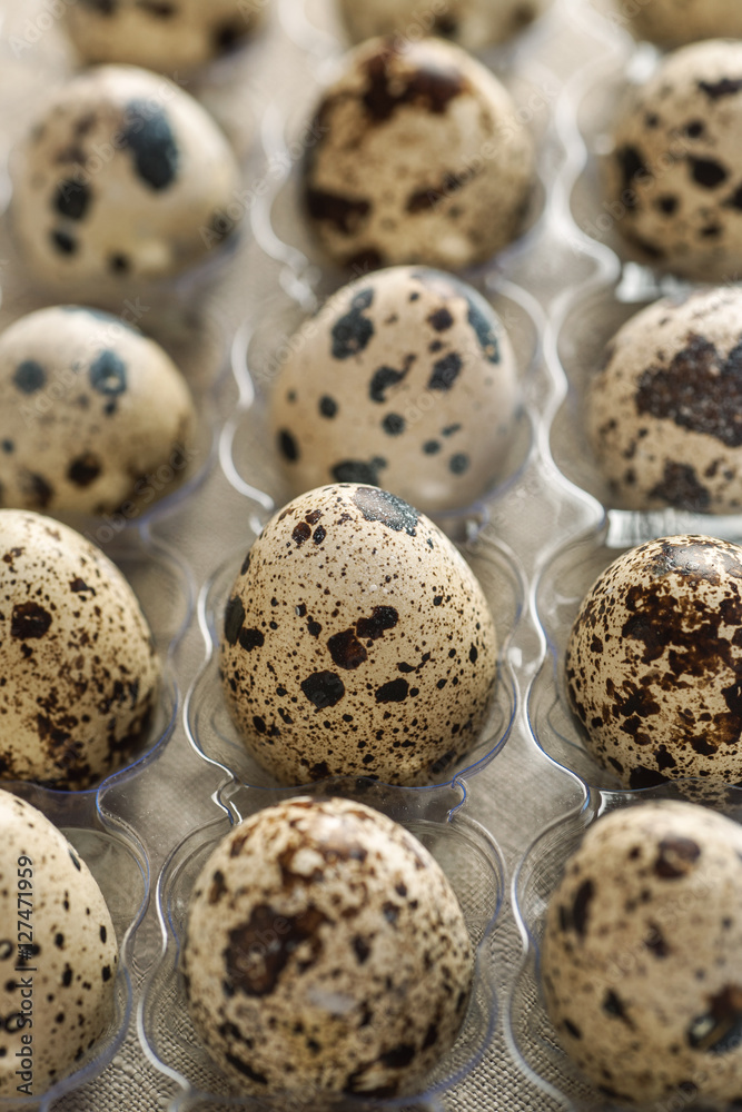 Quail eggs in transparent plastic box Quail eggs in transparent plastic box