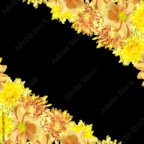 Fototapeta Naklejka Na Ścianę i Meble -  Beautiful floral background of yellow chrysanthemums 
