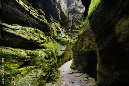 Fantastic view of the green canyon. Canyon Siberia. Teplice-Adrs