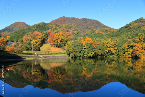 奈良 紅葉の二上山
