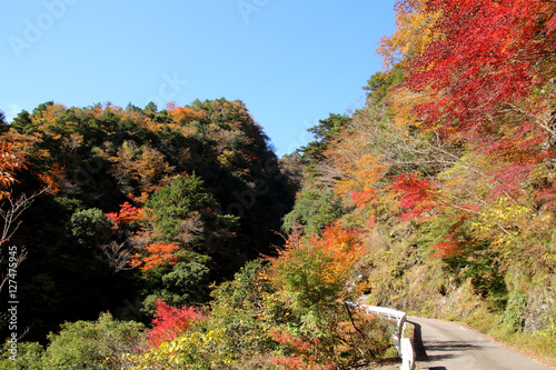 国道１９３号線の秋 photo