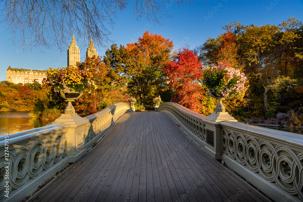 Fototapeta premium Fall in Central Park at The Lake with the Bow Bridge. Sunrise view with colorful Autumn foliage in the Upper West Side. Manhattan, New York City