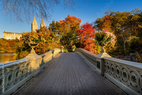 Fall in Central Park at The Lake with the Bow Bridge. Sunrise view with colorful Autumn foliage in the Upper West Side. Manhattan, New York City photo