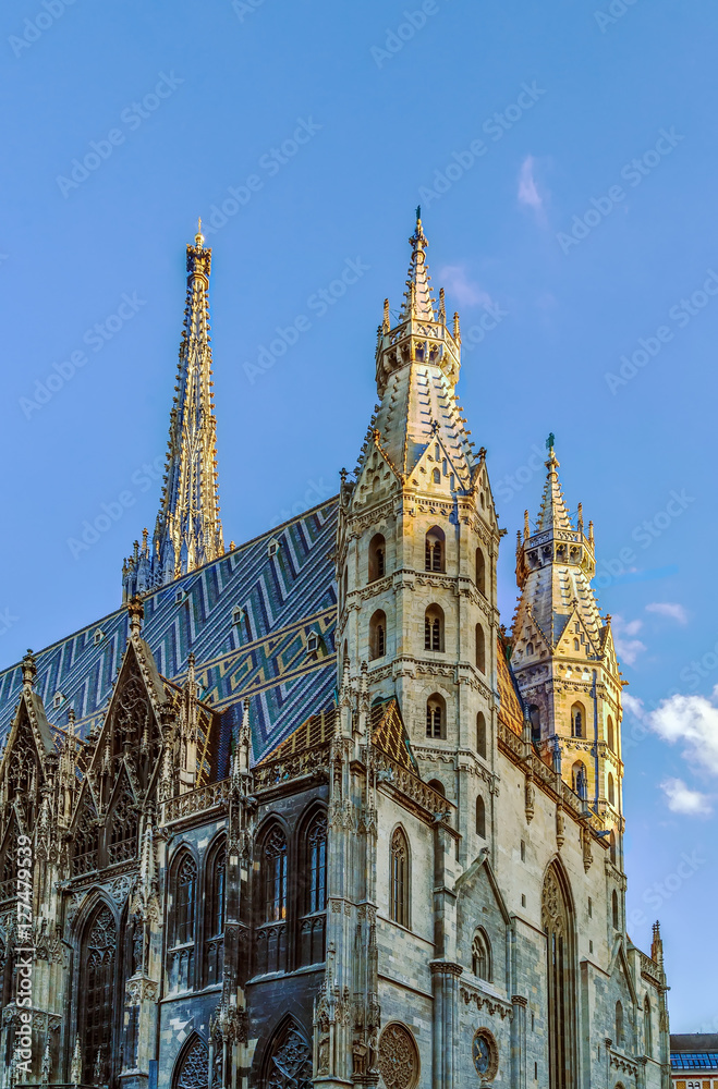 Fototapeta premium St. Stephen's Cathedral, Viennav
