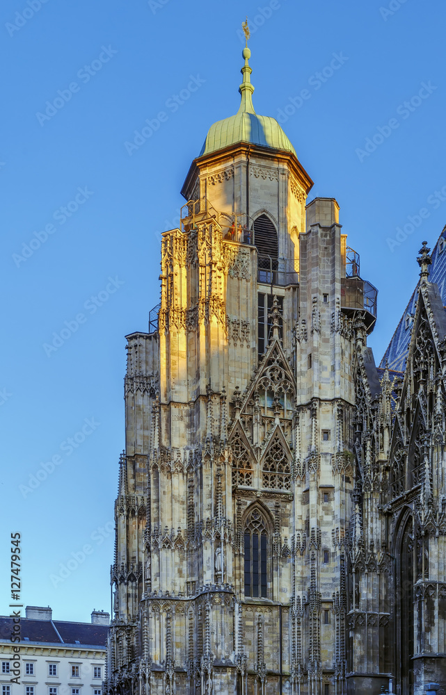 Obraz premium St. Stephen's Cathedral, Vienna