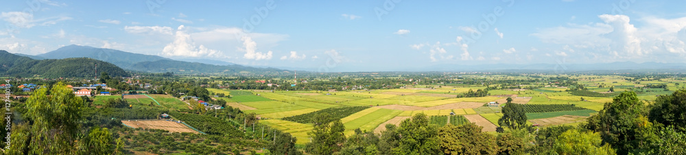 Panoramic landscape of rice field at Fang countryside in Thailand