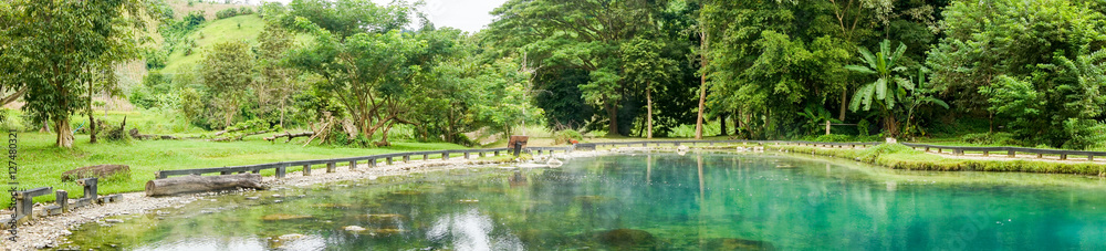 Fototapeta panoramic peaceful natural hot spring in forest at Huay Mak Liam hot spring,Chiang Rai Thailand