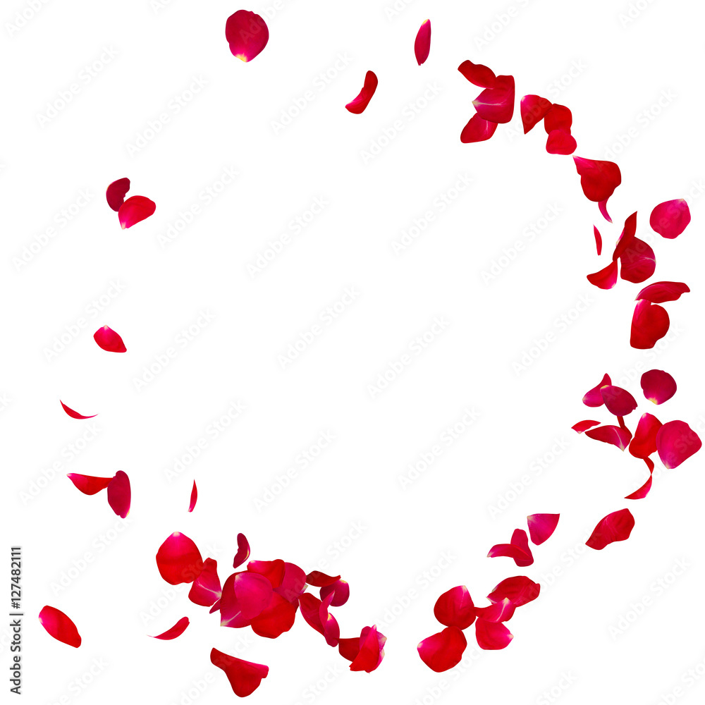 Red rose petals scattered on the floor in a semi-circle Red rose petals scattered on the floor in a semi-circle