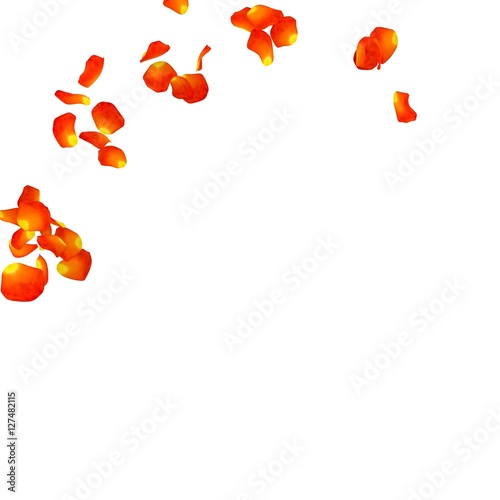 Yellow rose petals scattered on the floor in a semi-circle