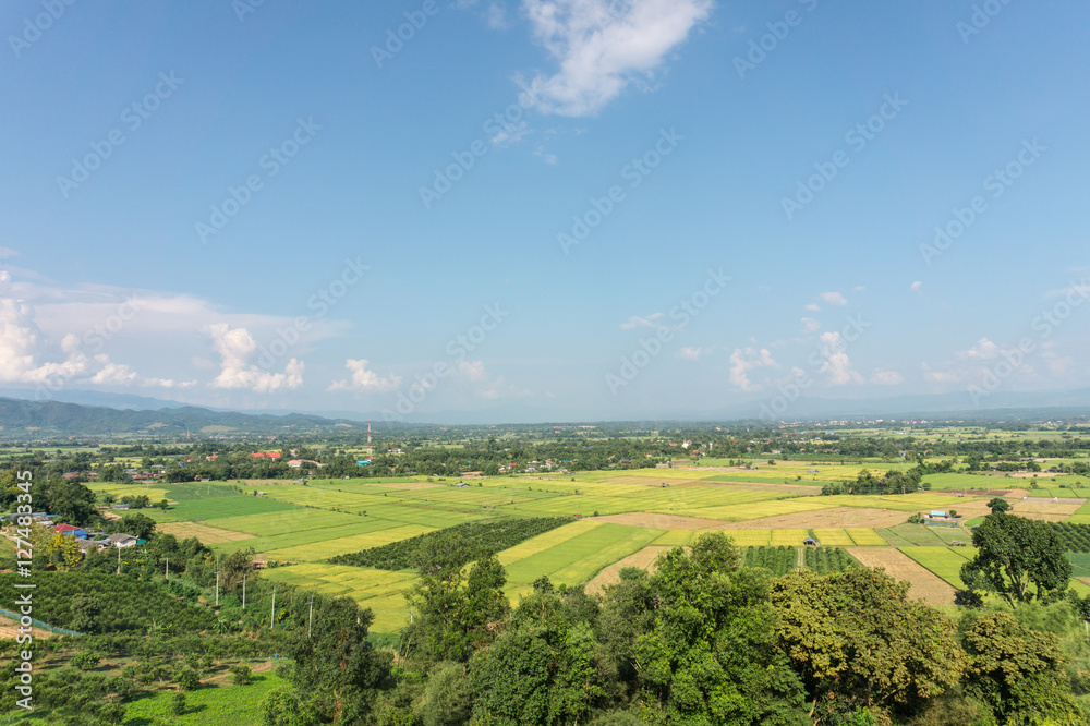 landscape of rice field at Fang countryside in Thailand