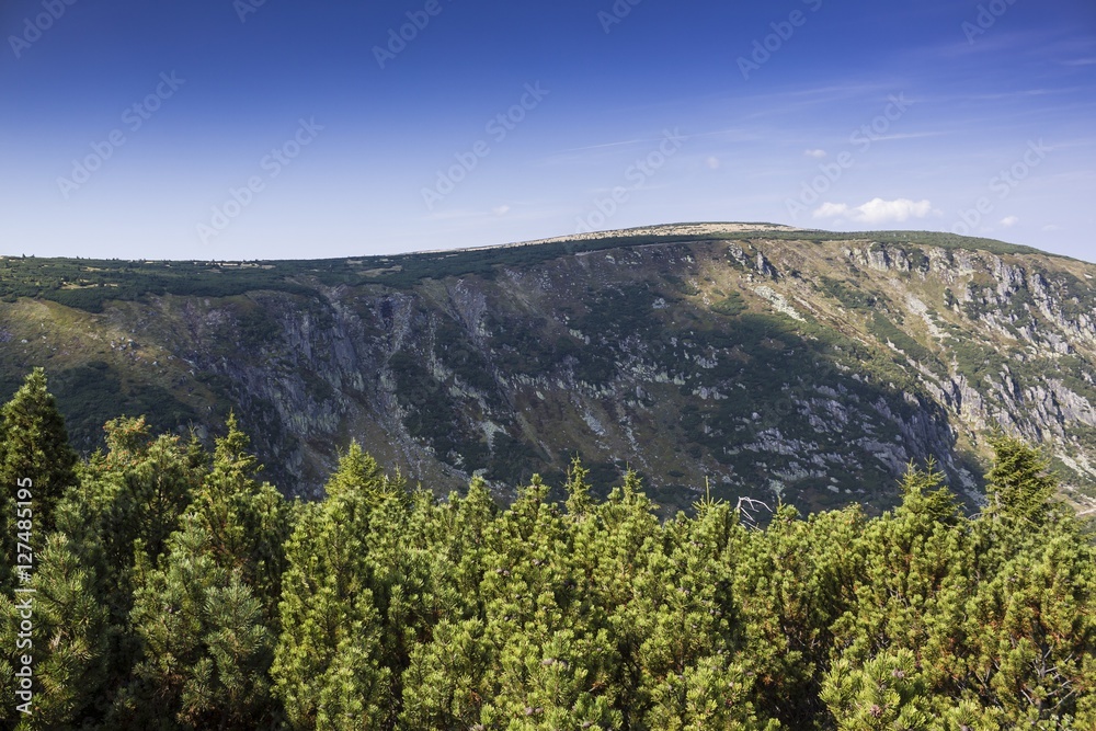 Fototapeta premium Mountain trail in Karkonosze