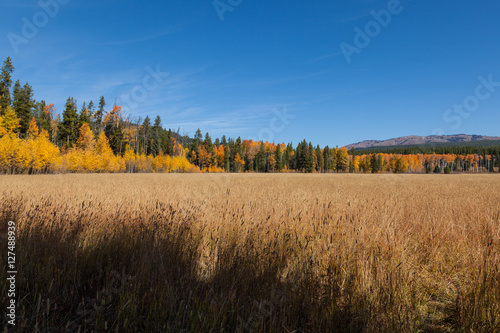 Wyoming Mountain Landscape in Fall