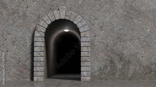 Canvas-taulu Concrete wall with decorative stone gate and scary corridor darkly lit