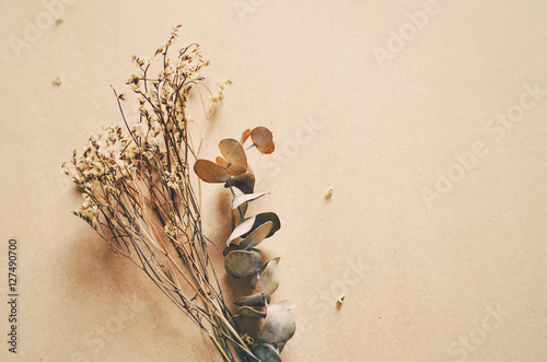 Small Dried Foliage And Flower On Nature Background
