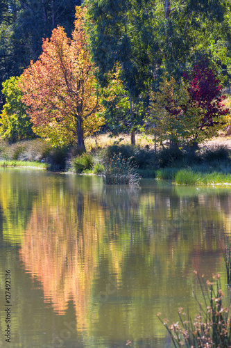 Autumn colours reflection