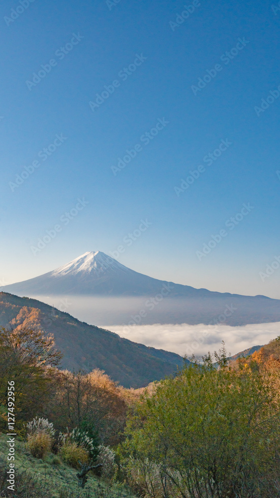 御坂峠からの富士山2016 御坂峠からの富士山2016