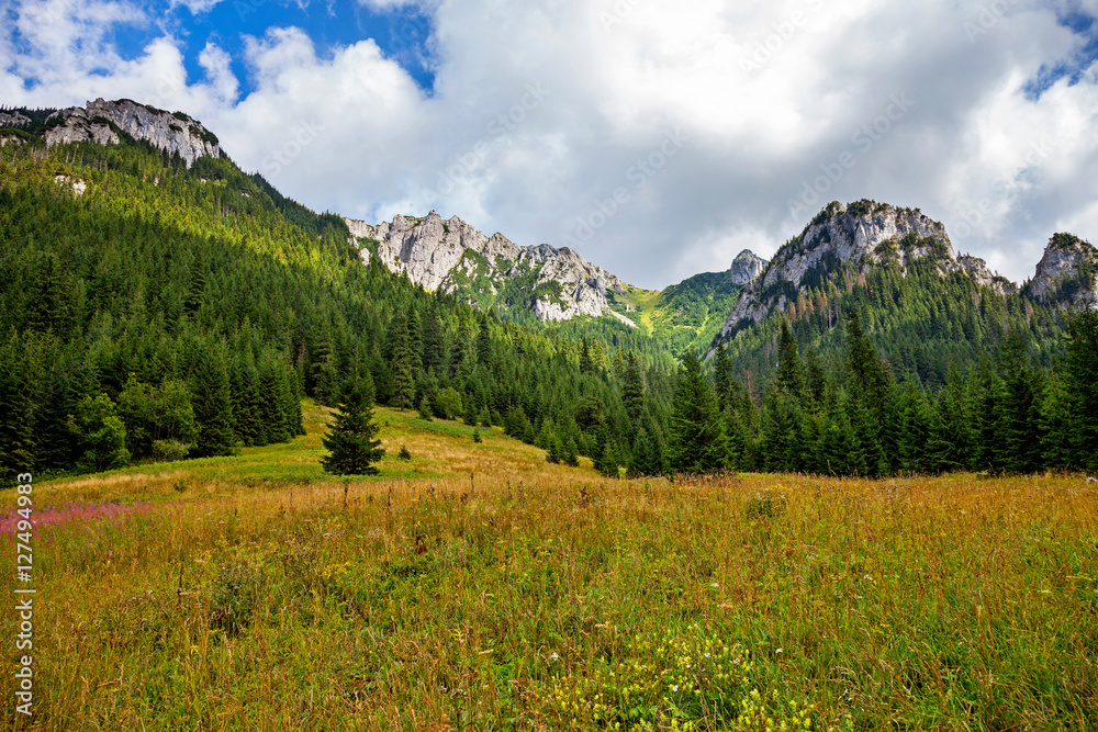 Summer view of the Tatra Mountains, Poland.