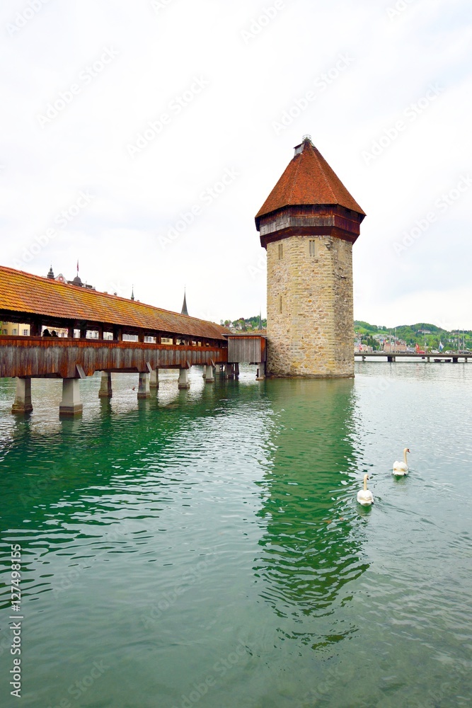 Chapel Bridge and two swans in Lucerne