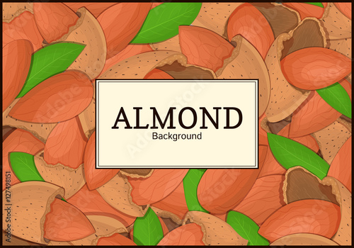 The rectangular frame on almond nut background. Vector card illustration. Nuts frame, almonds fruit in the shell, whole, shelled, leaves appetizing looking for packaging design of healthy food, menu