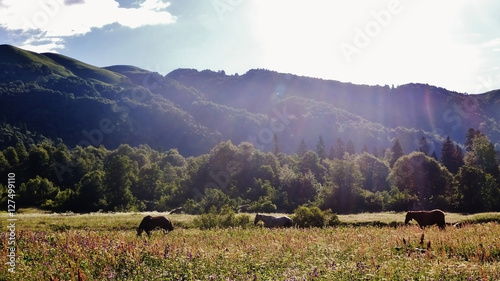 Amazing Caucasus mountains.