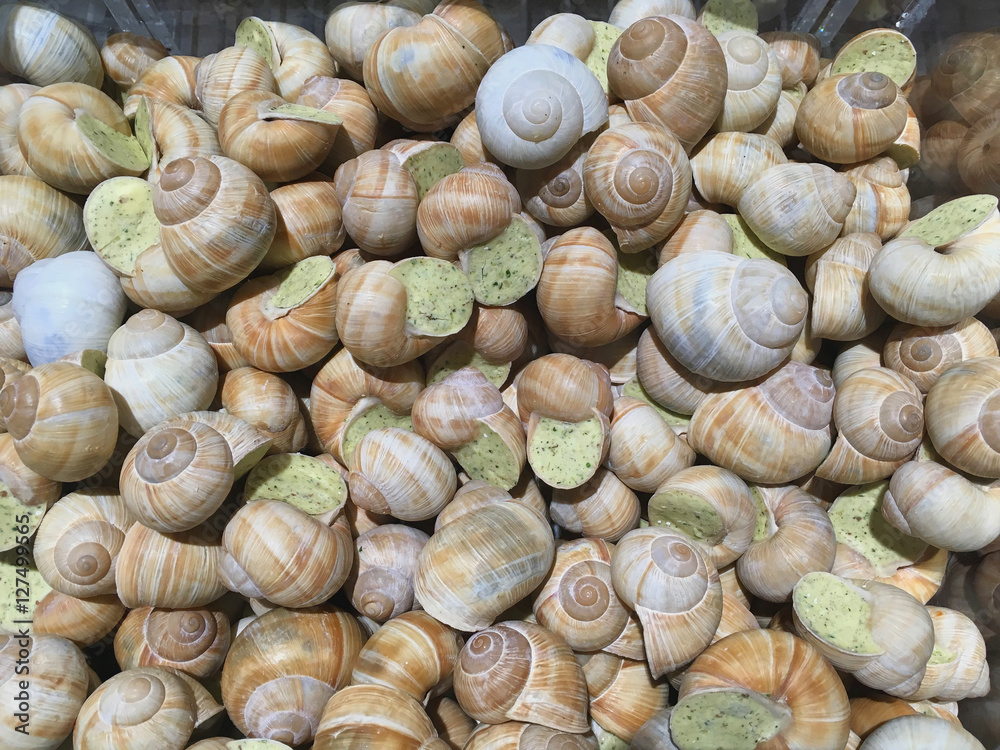 escargot. grape snails. escargots de bourgogne escargot. grape snails. escargots de bourgogne