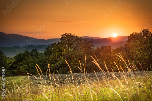 Meadow in the evening sun photo