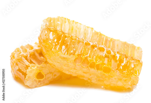 bee honeycomb with honey