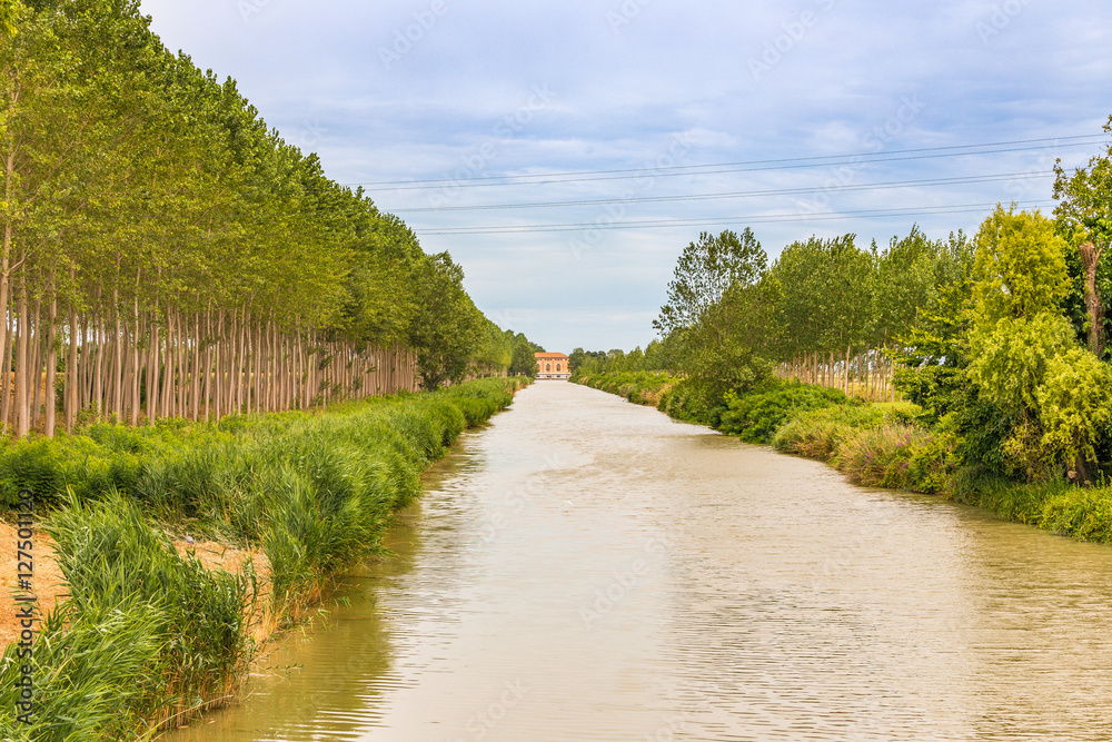irrigation canal running trough rows of trees