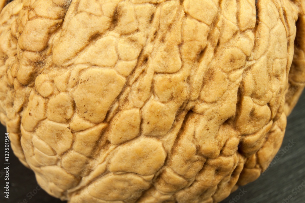 Detailed view of the structure of the shell of a walnut. Super foods for human brain. Healthy walnuts. Fresh walnuts Detailed view of the structure of the shell of a walnut. Super foods for human brain. Healthy walnuts. Fresh walnuts