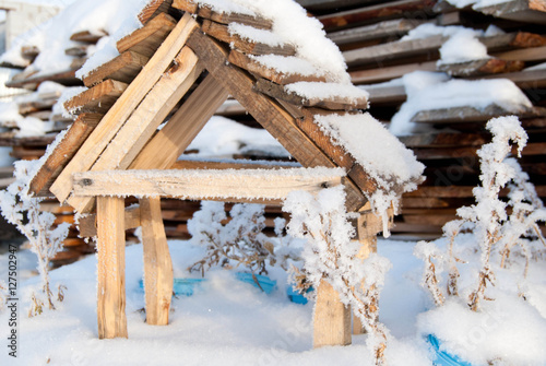 Obraz na płótnie Wooden feeder for birds in winter snow w salonie