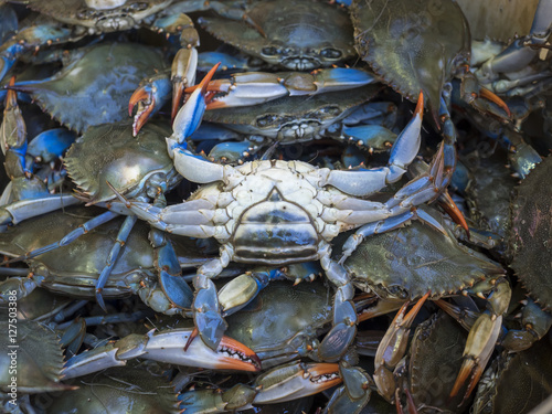 Blue Crabs in a Chinatown Market