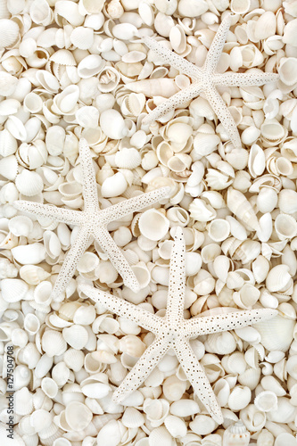 Starfish and Seashell Background
