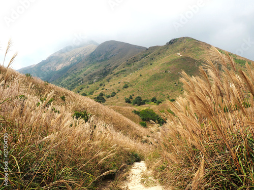 Lantau Trail to Lantau Peak in Hong Kong