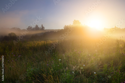 Sunrise. Meadow and fog. Grass in dew © shpak