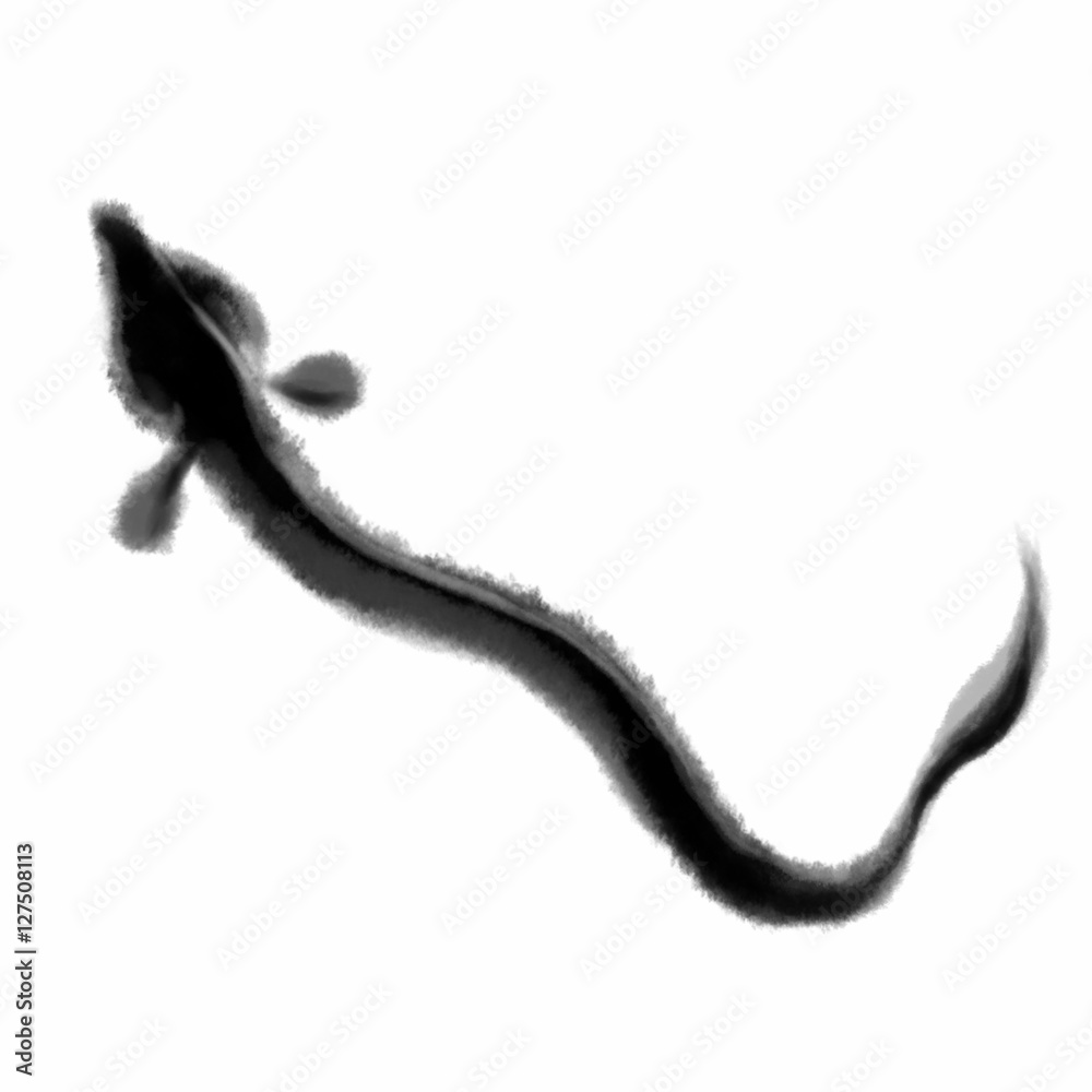 うなぎ 手書き風1c Stock イラスト Adobe Stock うなぎ 手書き風1c Stock イラスト Adobe Stock