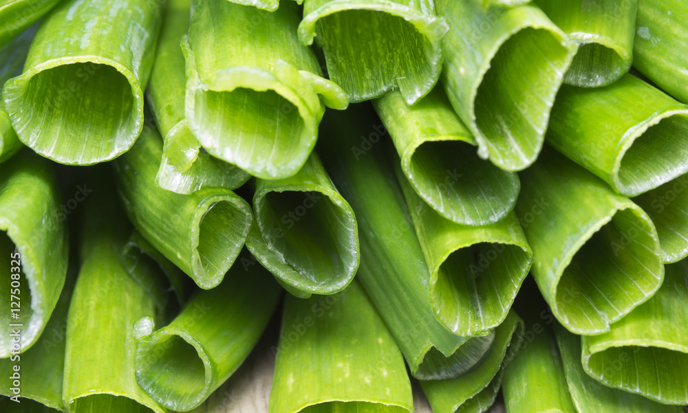 Fototapeta premium green onion