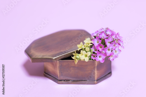 A Gift Box with Kalanchoe © eikotsuttiy