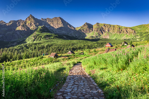 Fototapeta Naklejka Na Ścianę i Meble -  Beautiful trail in Tatras leading to the mountain shelters, Poland