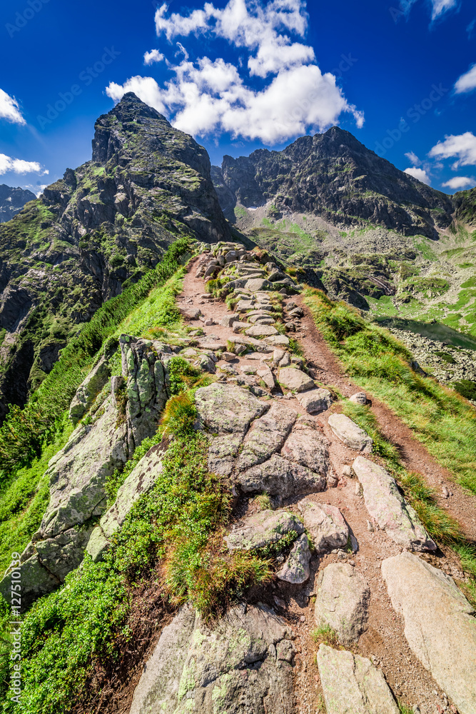 Obraz premium Mountain trail to Ko�cielec in summer, Tatra Mountains, Poland
