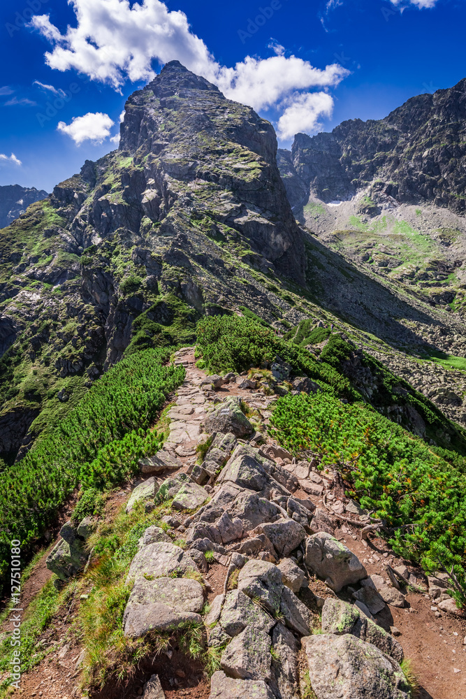 Obraz premium View to Ko�cielec from Karb in summer, Tatra Mountains, Poland