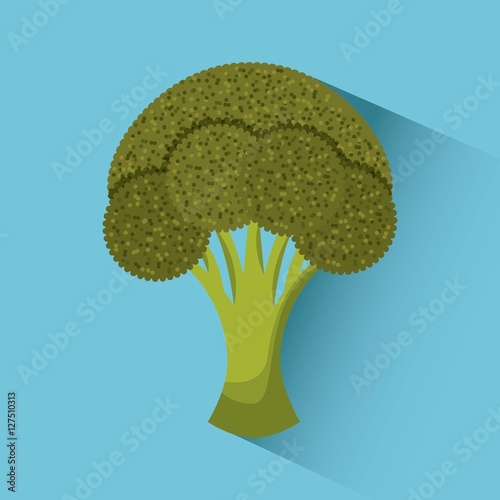 green broccoli food icon over blue background. vector illustration
