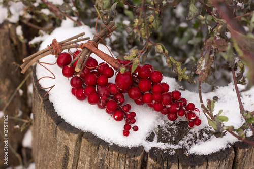 A red rowanberry branch