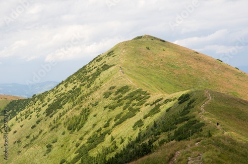 Grassy ridge on the Mala Fatra mountains, Slovakia