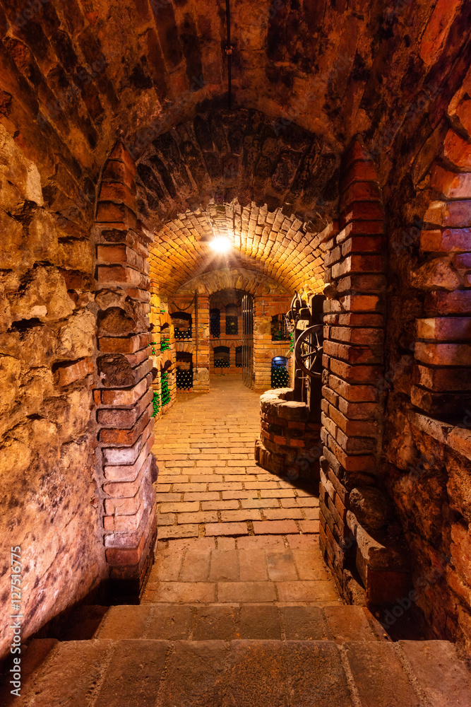 Compact wine 2025 cellar