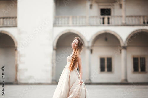 Beautiful girl, model with long hair posing in old castle near columns. Krakow Vavel photo