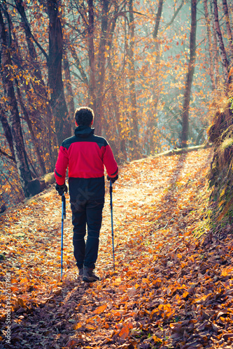 Man walking in autumn forest   © ueuaphoto