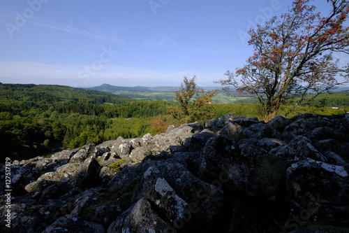 Blockschutthalde am Schafstein, Biosphärenreservat Rhön, Hessen, Deutschland